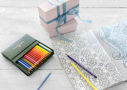 Faber-Castell Polychromos Artists' Color Pencils [Box of 36]