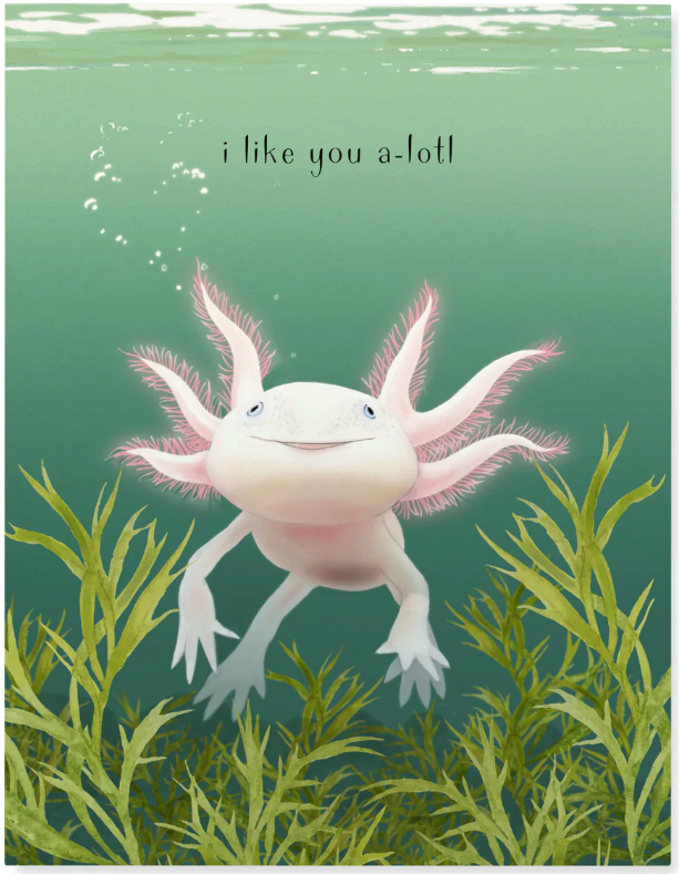 Felix Doolittle - Axolotl - Greeting Card