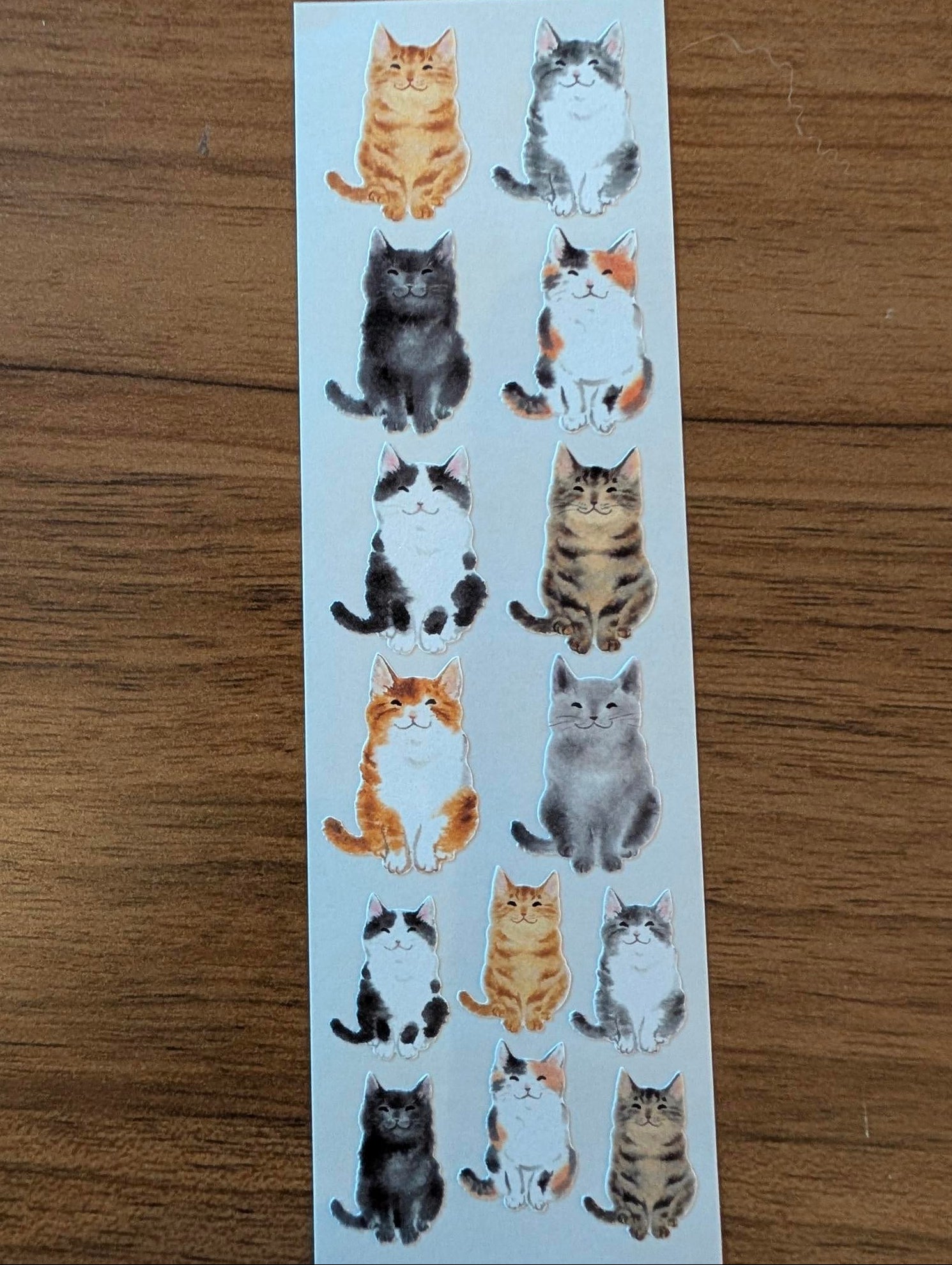 Sheet of cat stickers on a wooden surface